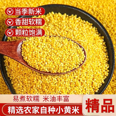 陕西米脂黄小米当季新鲜黄小米农家自产小米颗粒饱满早餐粥小米粥