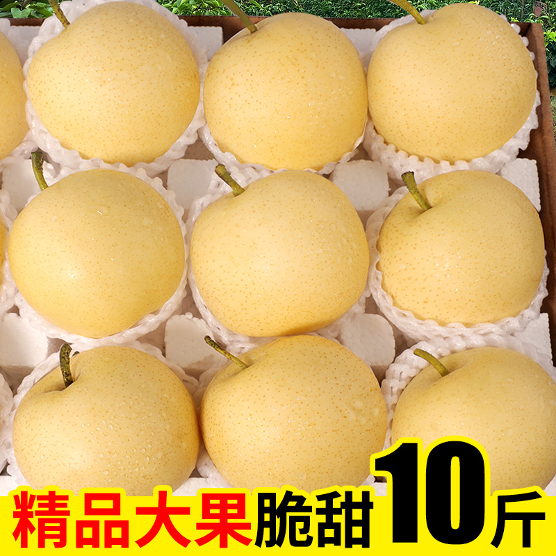 正宗皇冠梨丨一级果10斤装
