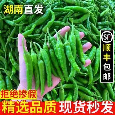 [湖南樟树港小辣椒新鲜10斤微辣薄皮嫩青椒岳阳原种土章镇顺丰整箱]
