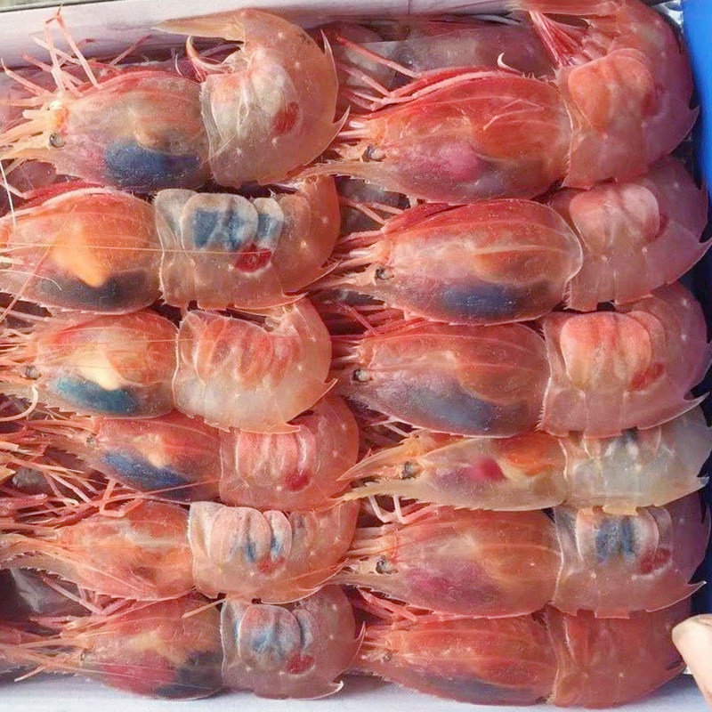 深海东方纵棱异腕虾太子蝴蝶虾台湾蓑衣虾日本料理刺身虾长额弓背