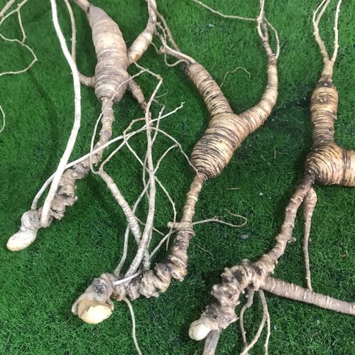 直播间差价专拍链接