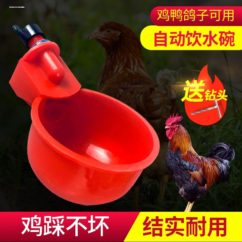 小鸡喝水饮水器喂鸡神器养鸡水碗鸭鹅鸽子食槽家禽鸡用自动喂水器
