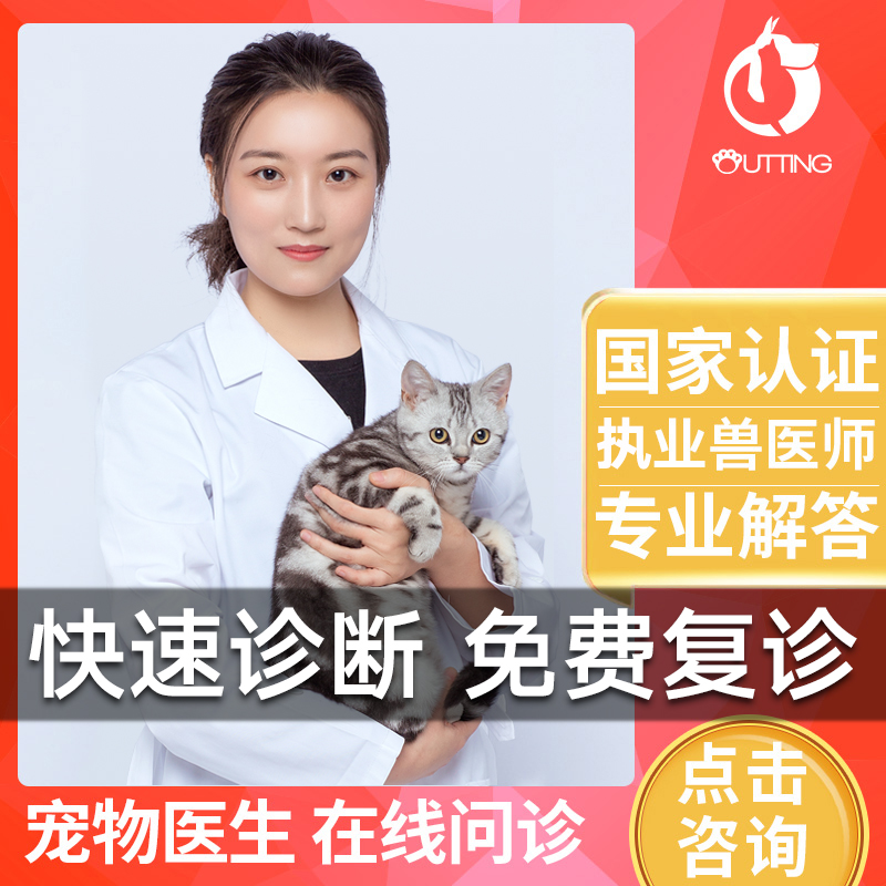 宠物医生在线咨询狗猫咪兽医线上问诊看病网络药店宠物医院诊所