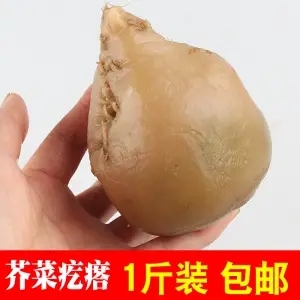 大缸腌制山东蔓菁疙瘩咸菜