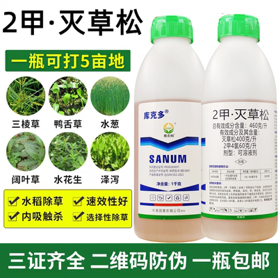 除水稻田鸭舌草水葱三棱草阔叶草
