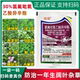草坪等阔叶杂草除草剂 果园 猪秧秧婆婆纳等 小麦田 氯氟吡氧乙酸