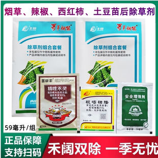 青岛丰邦哥弟烟能烟草辣椒番茄西红柿土豆马铃田地苗后专用除草剂