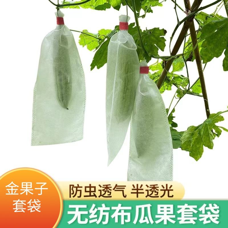 西瓜防虫袋无纺布果套袋