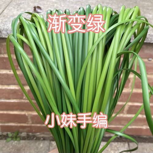 藤条编织包底部加固条5毫
