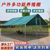 养殖棚家禽笼鸡棚农村鸡舍鸡笼子养殖场专用笼鸡窝搭建户外鸡窝棚