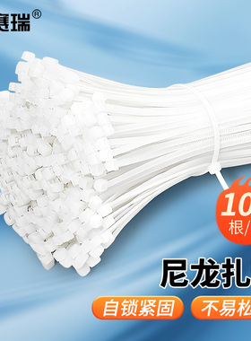 尼龙扎带 自锁式理线捆绑带 100根 4.1x500mm 白色 EA200051