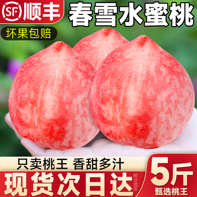 【顺丰速发】正宗春雪水蜜桃