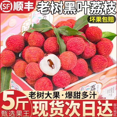 百年老树黑叶荔枝丨2025现摘现发