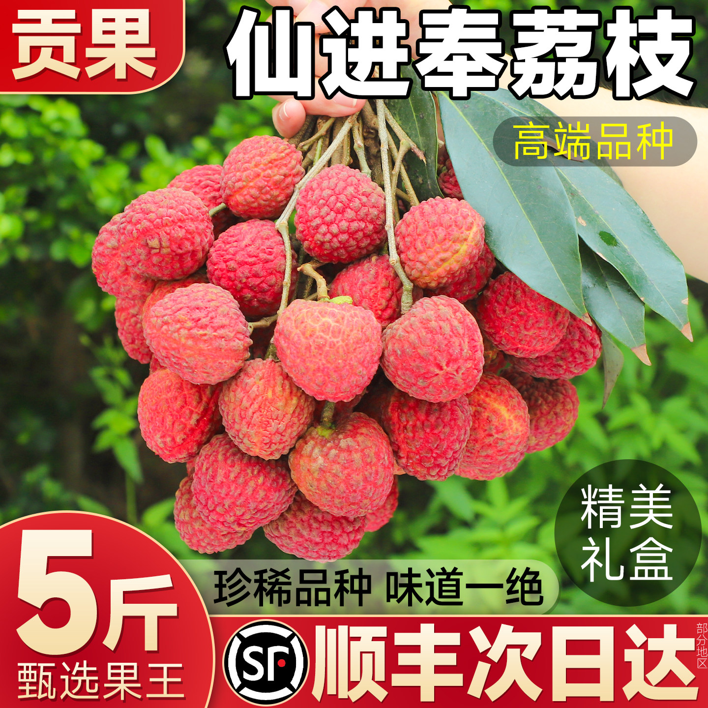 顺丰大果 仙进奉荔枝5斤新鲜水果当季现摘现发糯米王糍整箱包邮