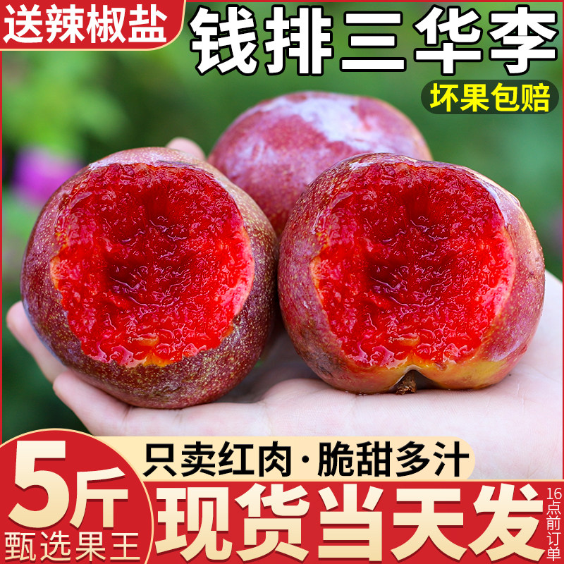 空运礼盒钱排三华李5斤新鲜李子水果当季茂名红心三月孕妇包邮大