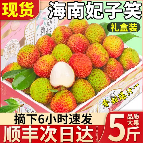 现货礼盒装海南妃子笑荔枝顺丰