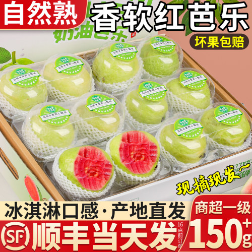 【顺丰次日达】香软红心芭乐