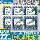 顺丰 12盒高山蓝莓新鲜水果L25花香特大莓果当季 怡颗鲜果整箱 包邮