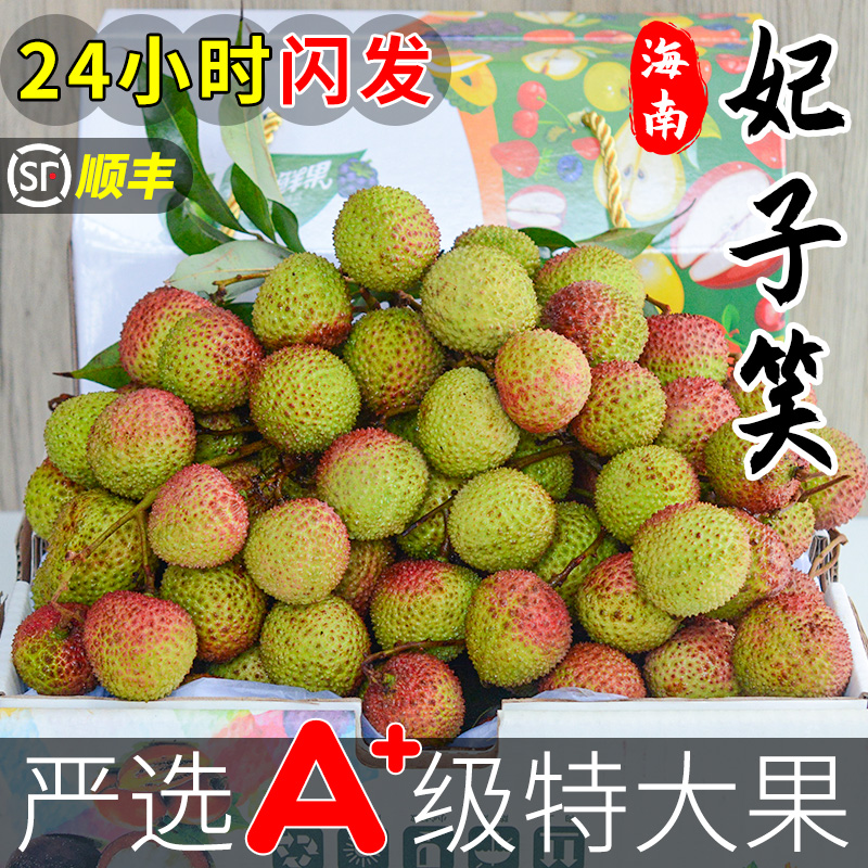现货大果 5斤海南妃子笑荔枝新鲜现摘大果当季水果包邮老树整箱王