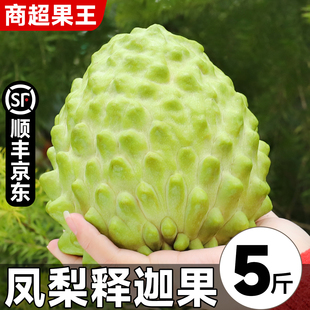 顺丰 凤梨释迦果新鲜水果5斤当季大果番荔枝林檎佛头牛奶整箱包邮