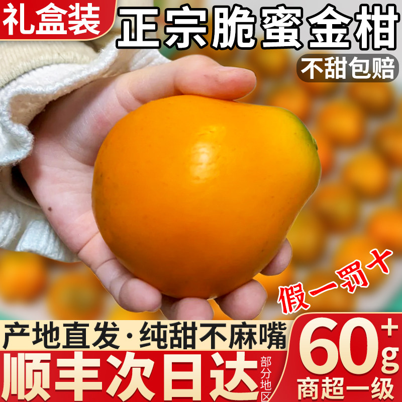 顺丰礼盒 5斤正宗融安脆蜜金柑新鲜时令水果鲜果橘子金桔整箱包邮