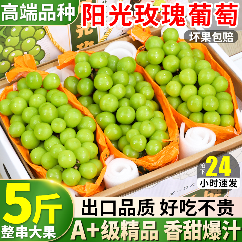 单果15g+！阳光玫瑰整串大颗粒！
