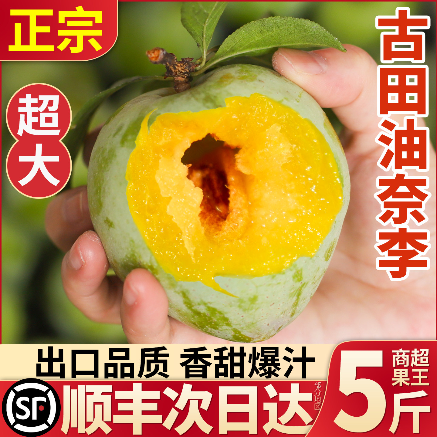 顺丰速发正宗古田油奈李