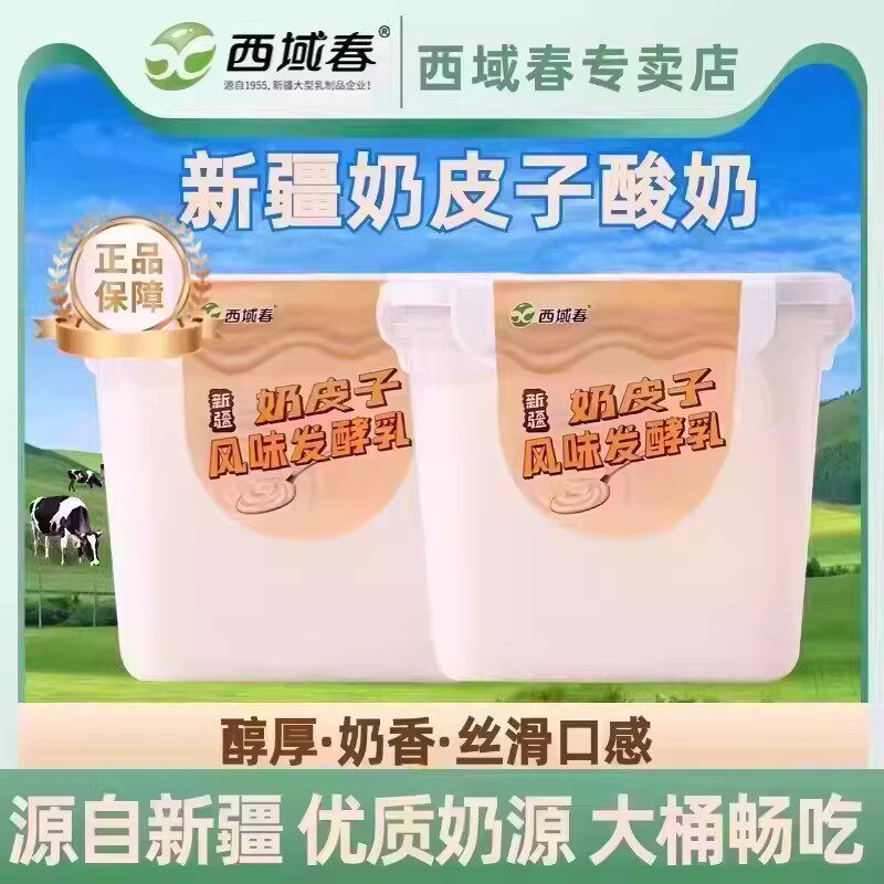 顺丰快递新疆西域春奶皮子酸奶1kg大桶装低温饭盒老酸奶中通快递