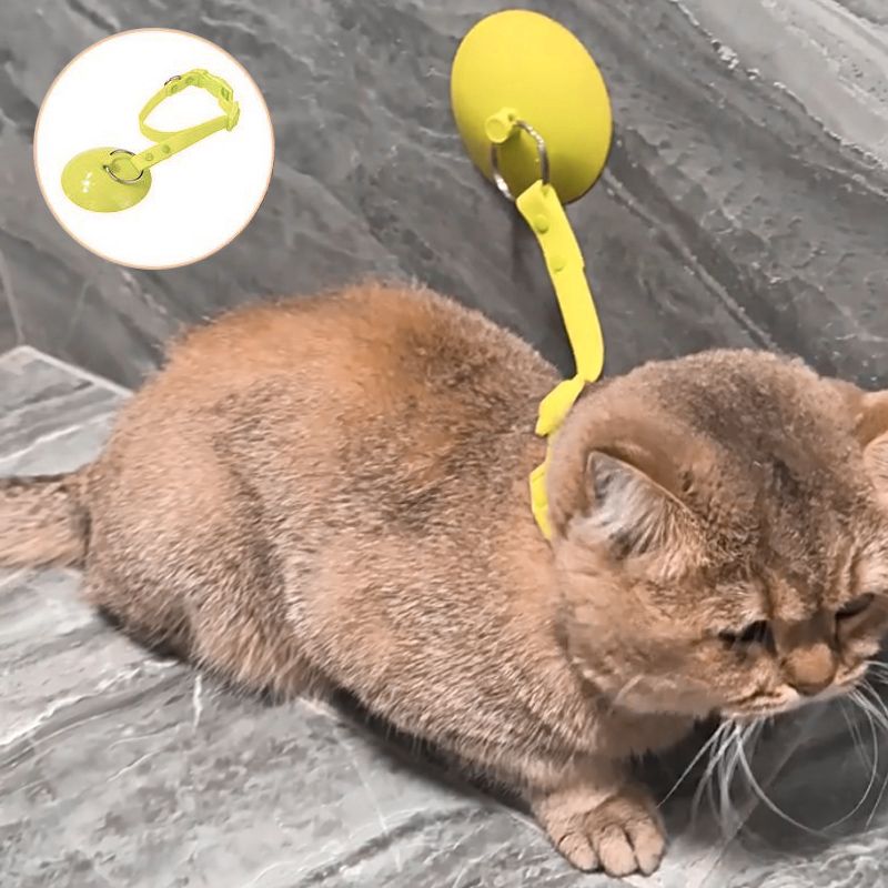 猫咪洗澡固定器宠物神绳