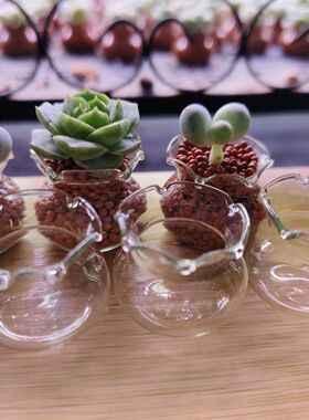 迷你小玻璃瓶多肉瓶子鱼