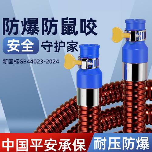 天燃气用不锈钢波纹管专