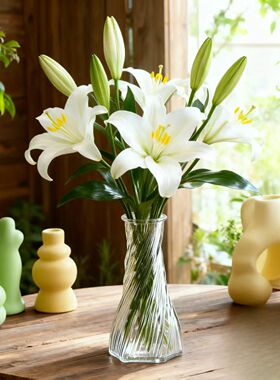百合花专用花瓶高级感轻