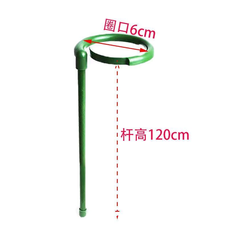 花卉造型骨架新款花支撑