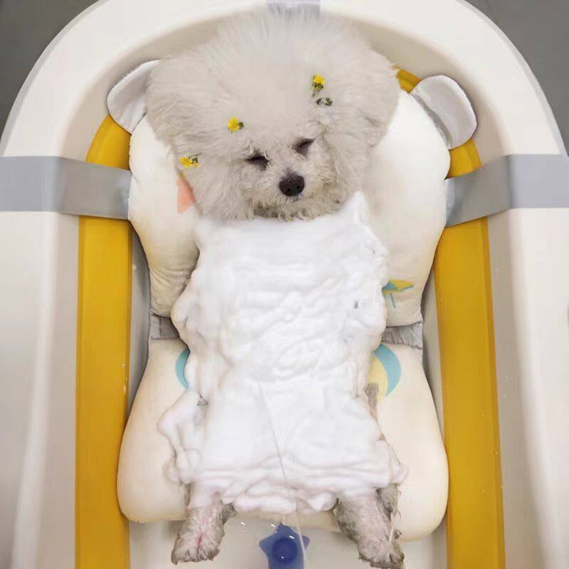 小狗洗澡盆宠物浴型犬专