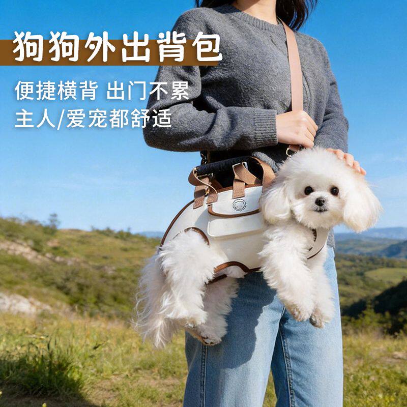 宠物狗狗自背包外出便携