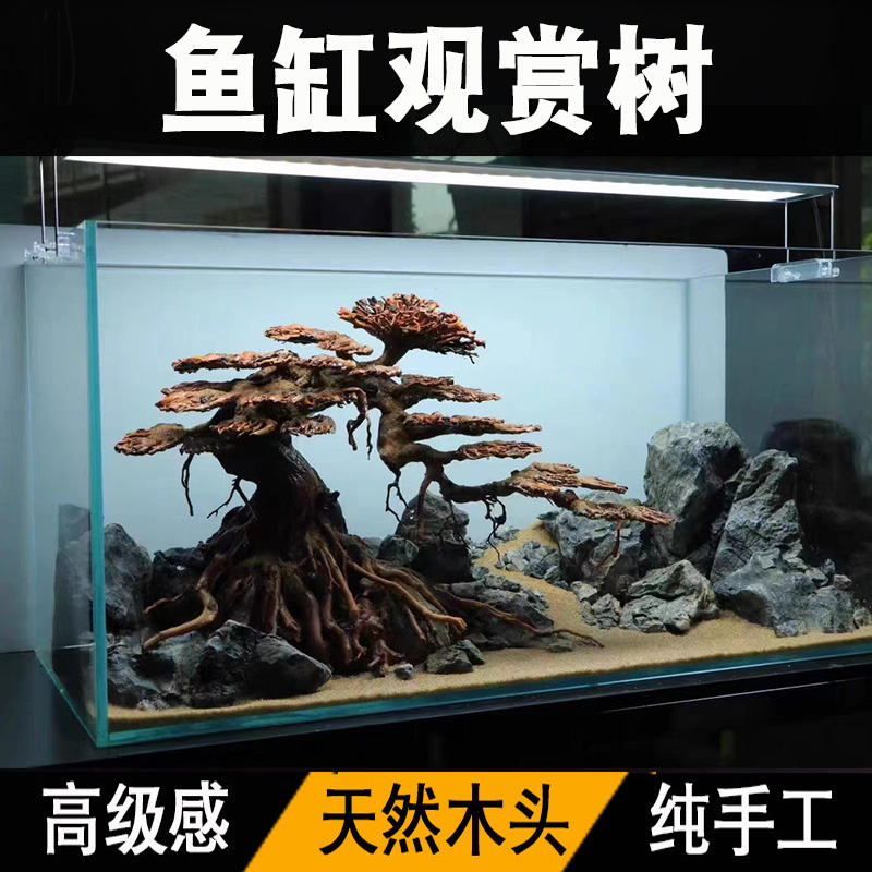【全国第三】造景树比赛作品