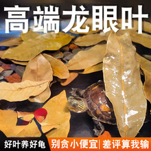 乌龟专用龙眼叶养龟用品南美缸榄仁叶ph值调节剂免煮懒人叶大叶子