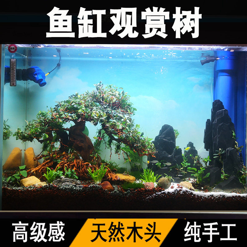 【全国第三】造景比赛作品