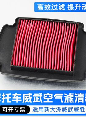 滤清器DH100-41A 42-43-45空气滤芯适用威武 威胜S 摩托车过滤器