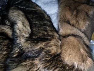 人造长毛绒布料仿狼毛服装面料兽装毛布克重1500-1800毛长6-9cm