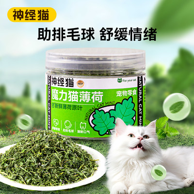 神经猫魔力猫薄荷宠物猫咪