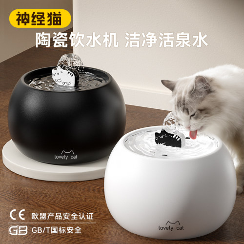 陶瓷饮水机安全静音不喝下巴