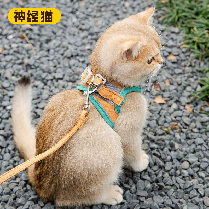 猫咪牵引绳防挣脱外出遛猫绳背心