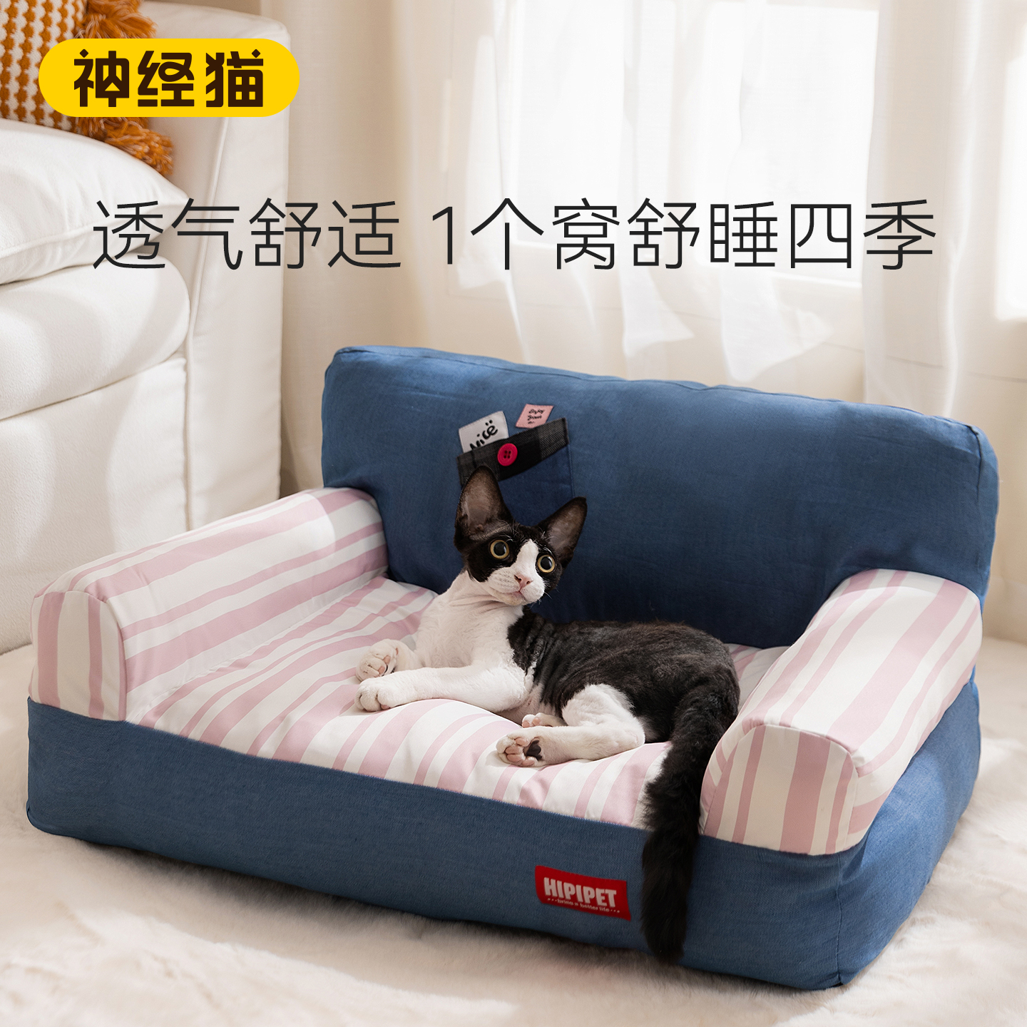 亚宠展丨新品上市可拆洗小狗沙发