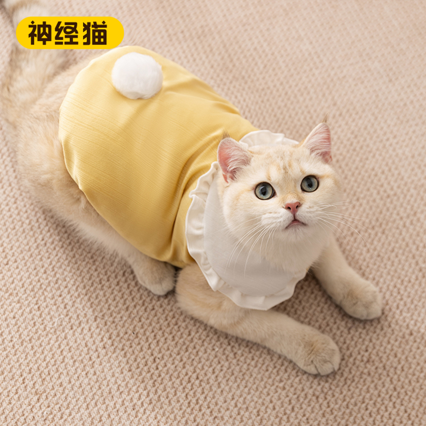 猫咪衣服棉猫咪毛衣外套