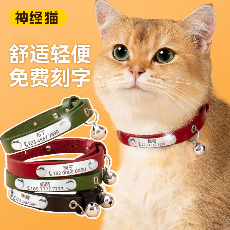 猫咪定制身份牌刻字项圈防走丢小小猫幼猫项链装饰吊牌挂饰用品