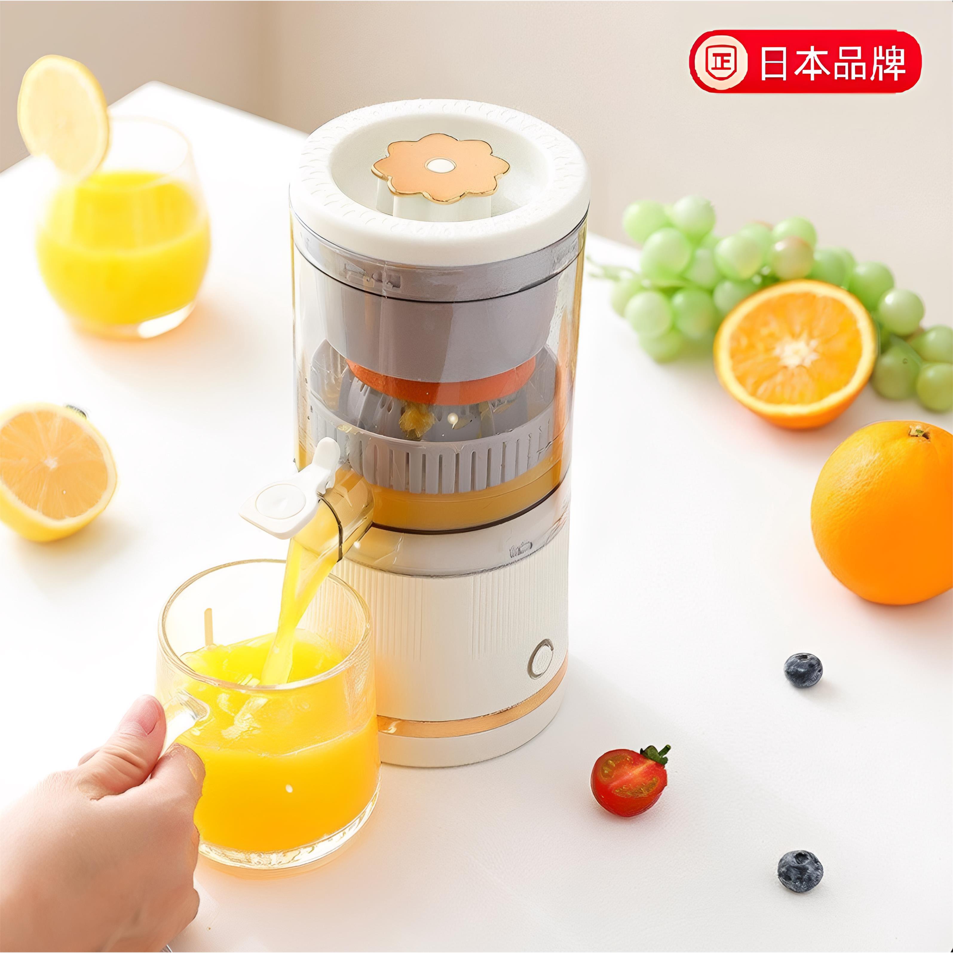 日本进口家用果汁机手持