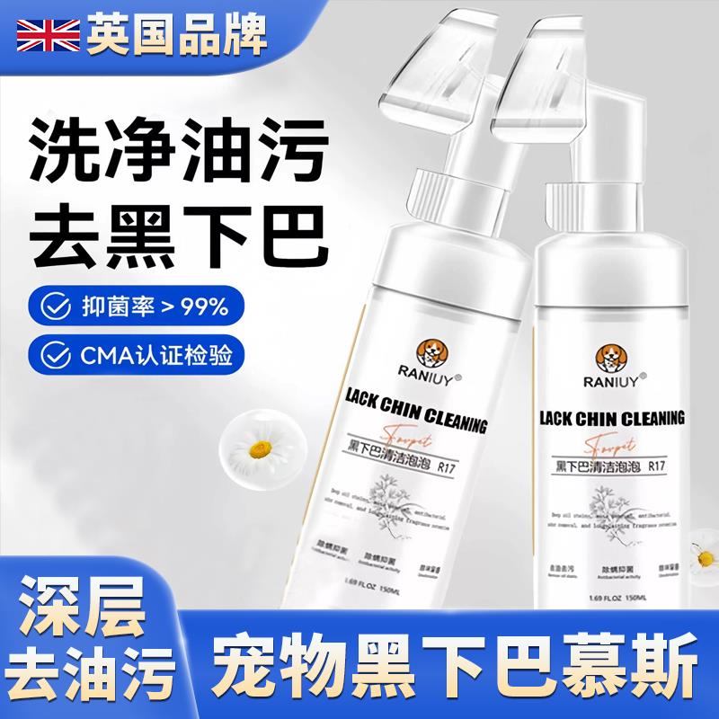 英国宠物猫咪去黑下巴专