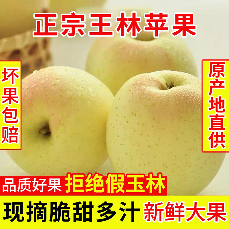 戈益鲜正宗大连脆甜新鲜王林苹果