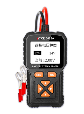 胜利蓄电池检测仪12/24V